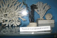 5А класс. Красноярский Краеведческий музей-10