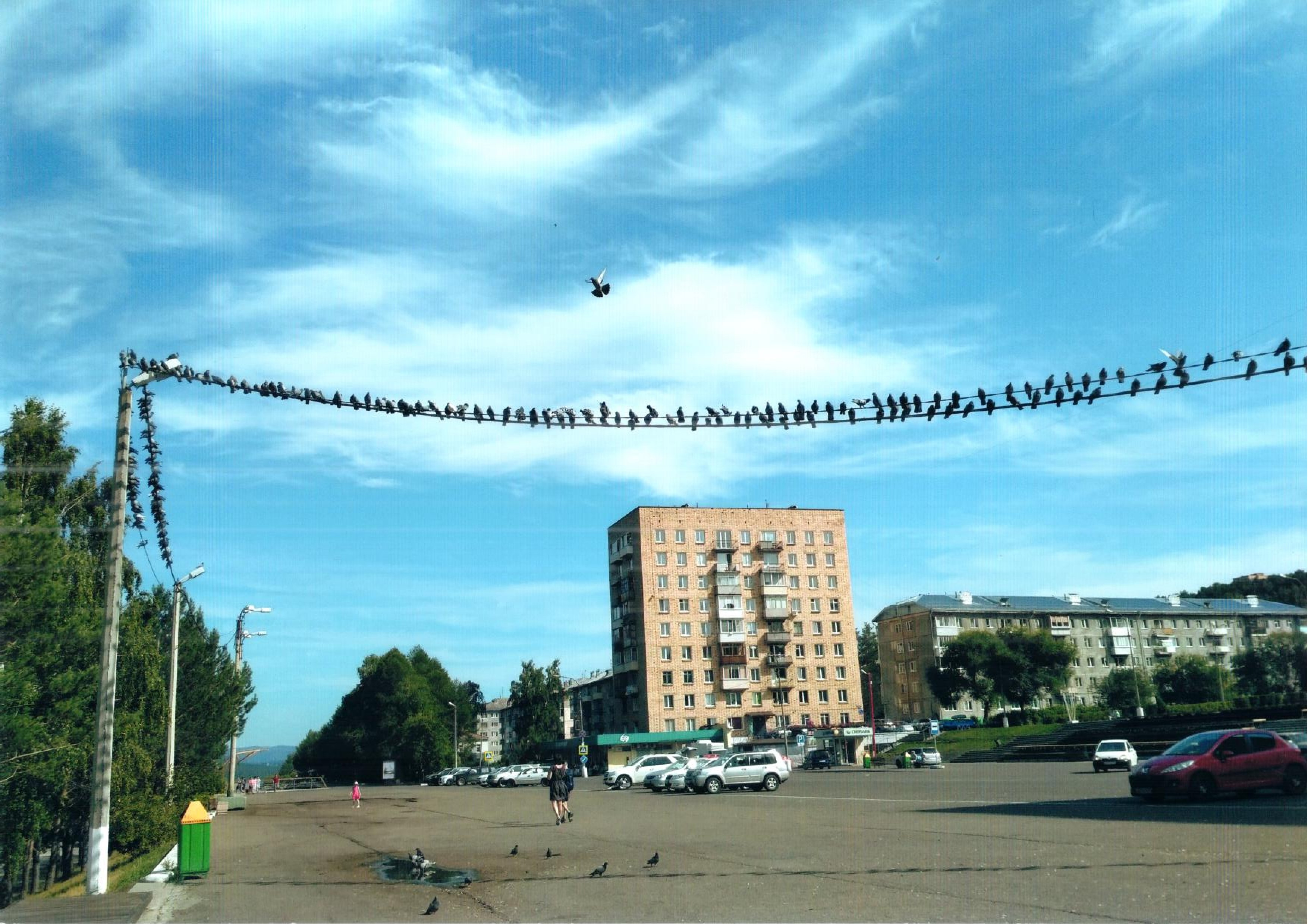 Птичьи посиделки 3 А
