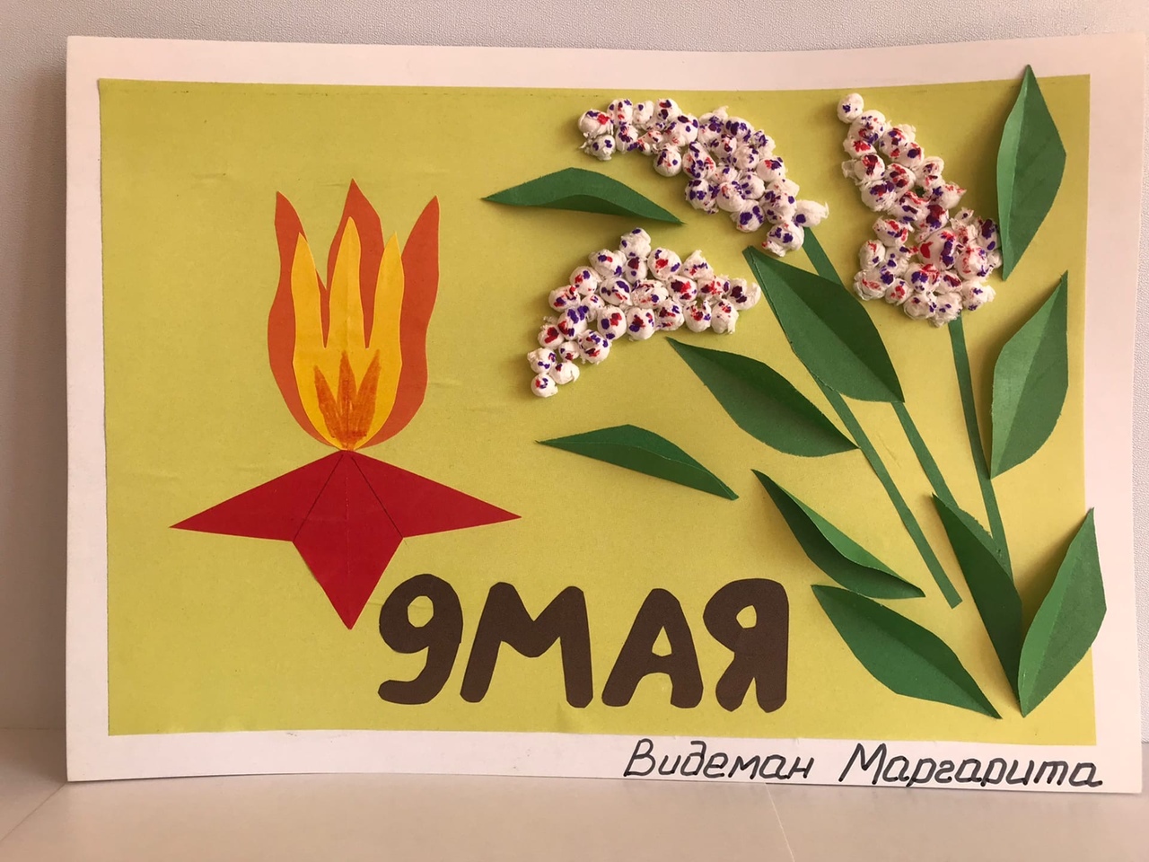 Видеман Маргарита 3 Б